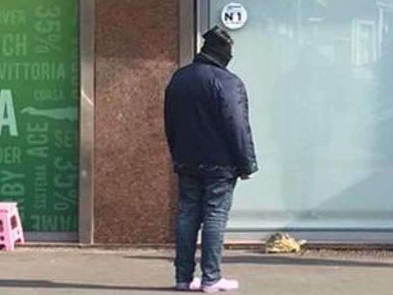 Без поводка – не собака: в Италии женщину оштрафовали за выгул черепахи