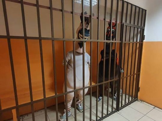 У Сочі кінь і осел отримали по п'ять діб за хуліганство: фоткалися з людьми і вимагали у перехожих гроші