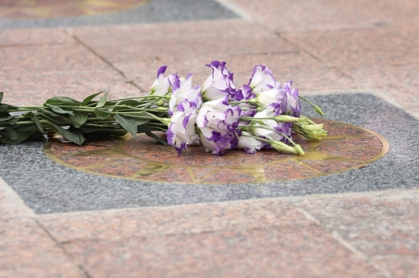 Художник, писатель и драматург — на одесской Аллее звёзд «зажглись» новые имена