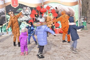 В Одесском зоопарке тигрице подарили праздничный торт: ей понравилась коробка (видео)
