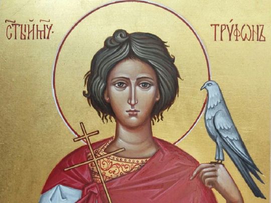 На Трифона гнали мишей та грали весілля: традиції та прикмети народного свята 14 лютого