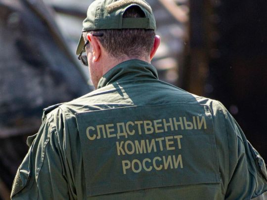 Жахлива знахідка: у&nbsp;Тульській області Росії у&nbsp;собаки відібрали знайдену в&nbsp;кучугурі людську голову