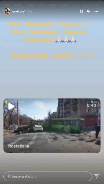 «Російський Великий Тупий Народ»: дружина Усика про «комарів, що висмоктують лише слов'янську кров»