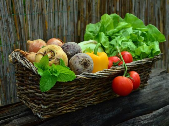Продукти без холодильника: скільки їх можна зберігати на балконі чи у дворі приватного будинку