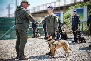 В Одесской области наградили служебную собаку Киру