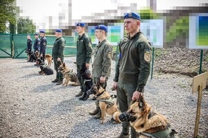 В Одесской области наградили служебную собаку Киру