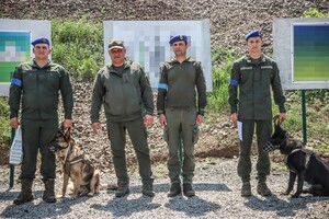 В Одесской области наградили служебную собаку Киру