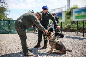 В Одесской области наградили служебную собаку Киру