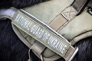 В Одесской области наградили служебную собаку Киру