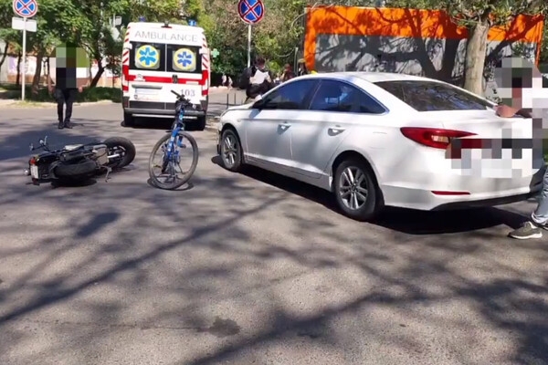 В Одесской области наградили служебную собаку Киру