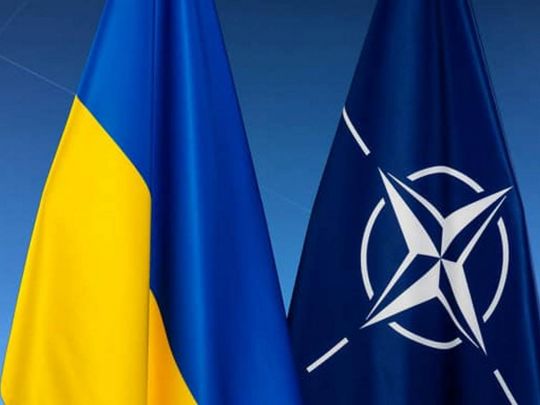 &laquo;Це&nbsp;не&nbsp;повинні бути просто слова&raquo;: шведський депутат про гарантію України членства в&nbsp;НАТО