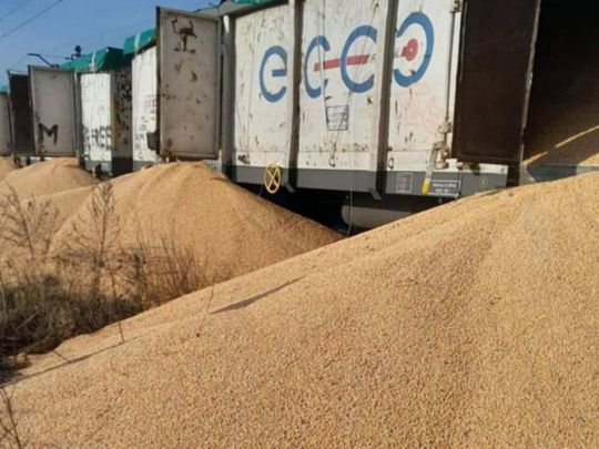 Земля покарає: стало відомо, як&nbsp;Польща поплатиться через розсипане українське зерно