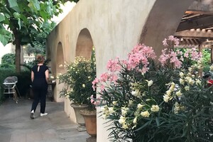 На месте легендарного ресторана "Александровский" в Одессе открыли "Татар Бунар": обзор заведения