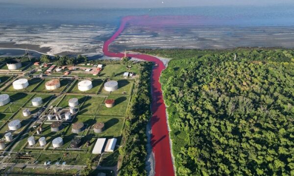 &laquo;Кровавая река&raquo;: экологическое бедствие в пригороде Буэнос-Айреса