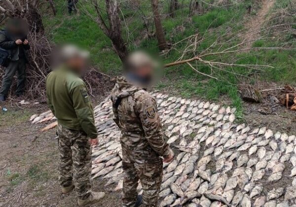 Браконьер из Одесского района нанес государству ущерб более чем на 600 тысяч гривен Браконьер из Одесского района нанес государству ущерб более чем на 600 тысяч гривен