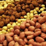 В Україні почала дешевшати картопля: чому ціни вже на 58% нижчі за торішні