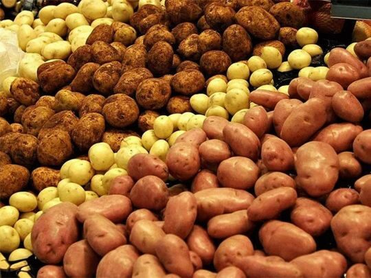 В&nbsp;Україні почала дешевшати картопля: чому ціни вже на&nbsp;58% нижчі за&nbsp;торішні