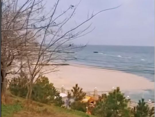 Під Одесою екологічна катастрофа внаслідок обстрілу росіян