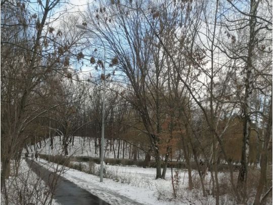 Синоптики обіцяють &laquo;комфортний&raquo; початок весни, але розслаблятися не&nbsp;варто, особливо водіям