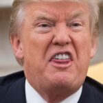 Трамп вводит новый тариф в ответ на решение Верховного суда