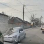 Водій збив військового ТЦК під час перевірки документів (відео)