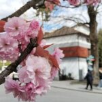 Выходные в Украине в мае 2026: сколько будем отдыхать