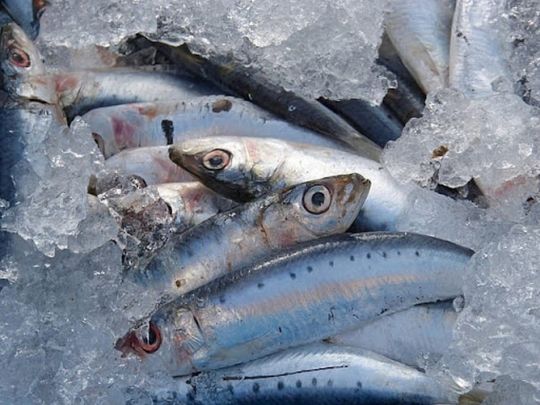 Корисна, дешева і&nbsp;доступна кожному: яку рибу треба додати до&nbsp;раціону